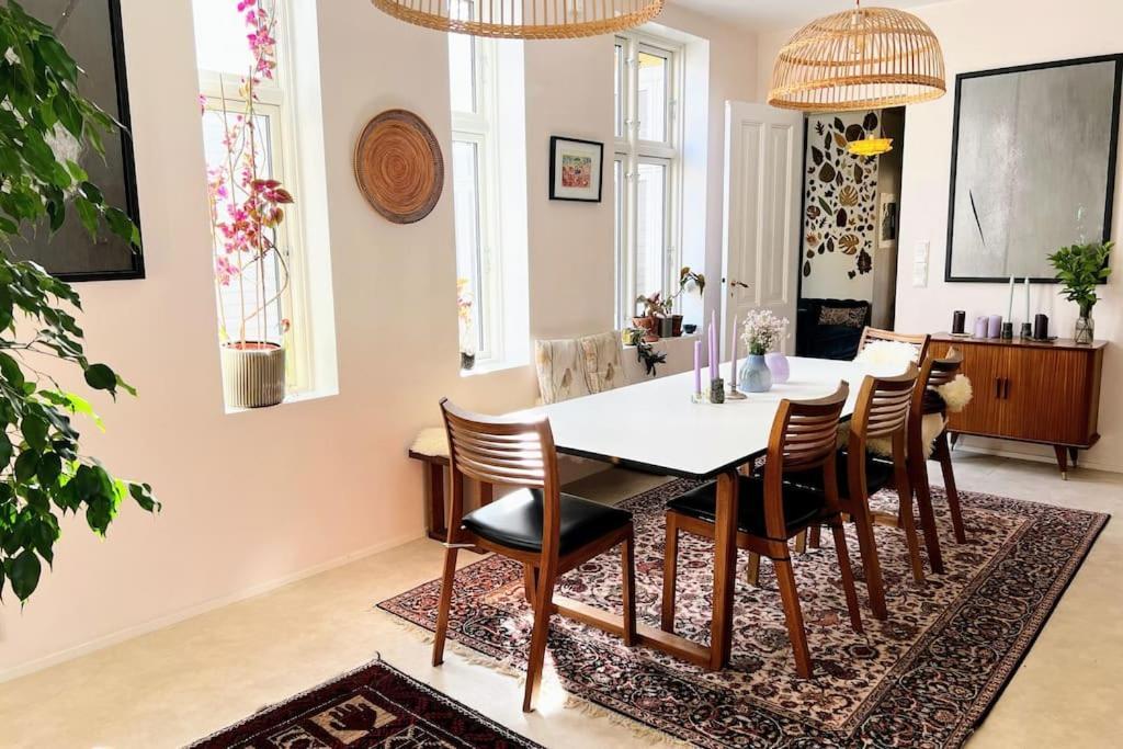 Apartment Spacious Historical Art Oasis In The Center *