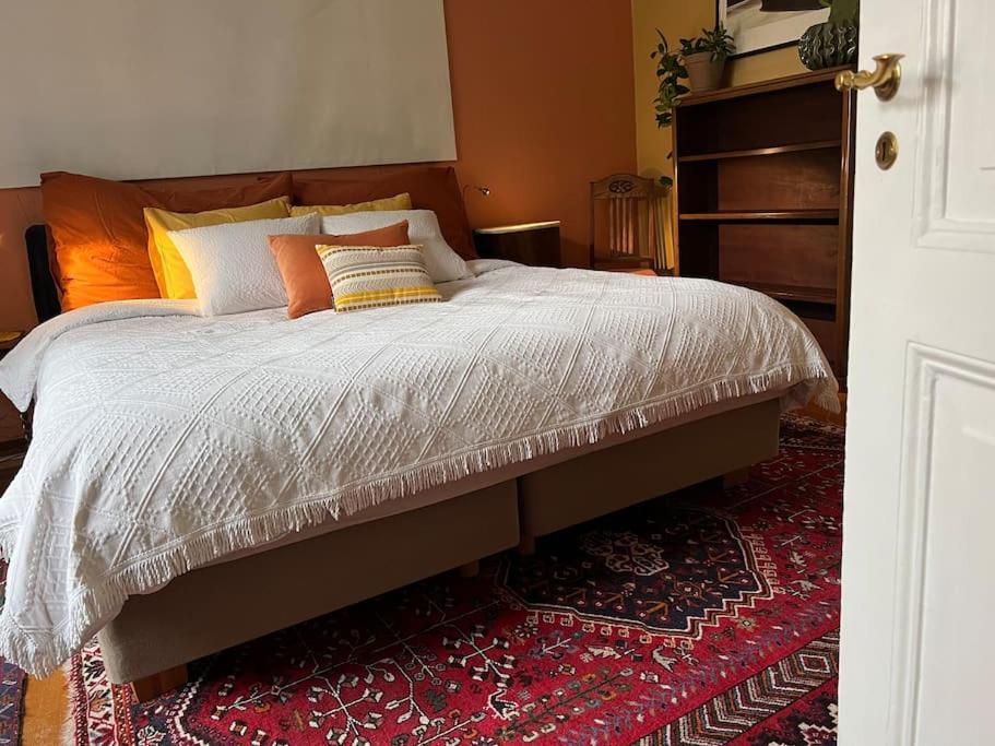 Apartment Spacious Historical Art Oasis In The Center
