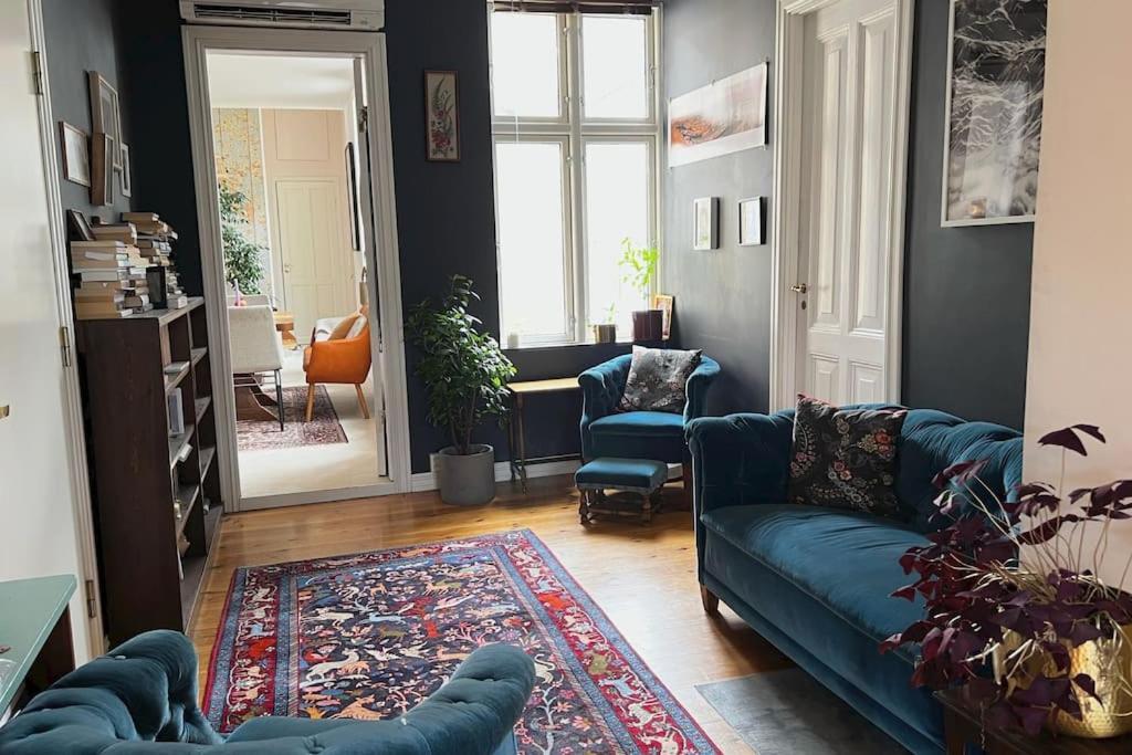 Apartment Spacious Historical Art Oasis In The Center *