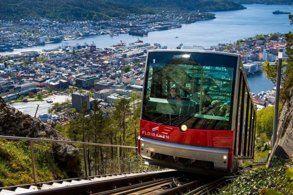 Spacious Historical Art Oasis In The Center Bergen