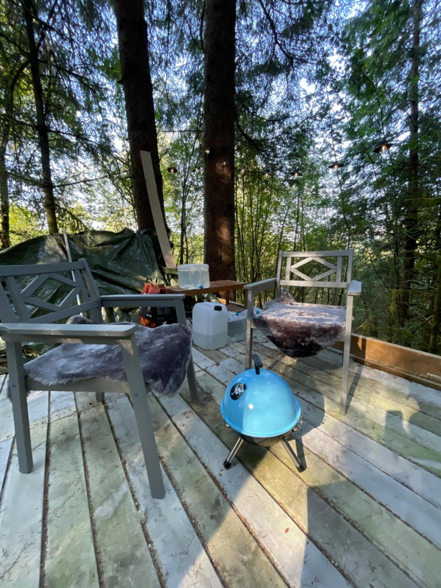 Magical Forest Haven Dome Apartment *