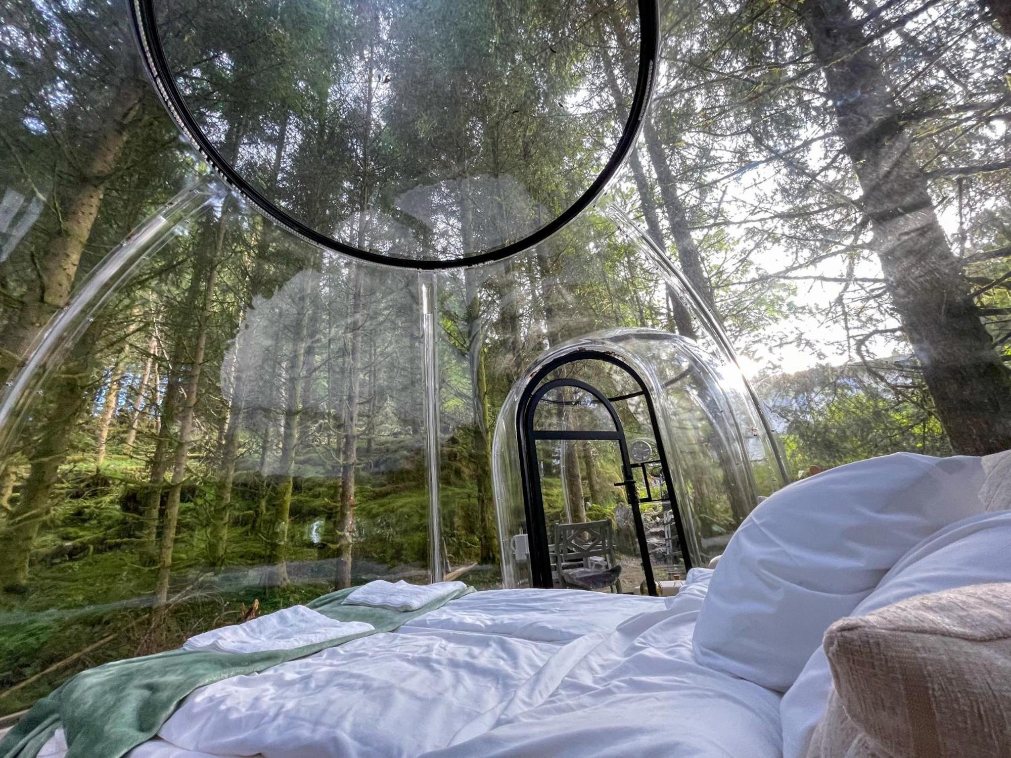 Magical Forest Haven Dome Bergen