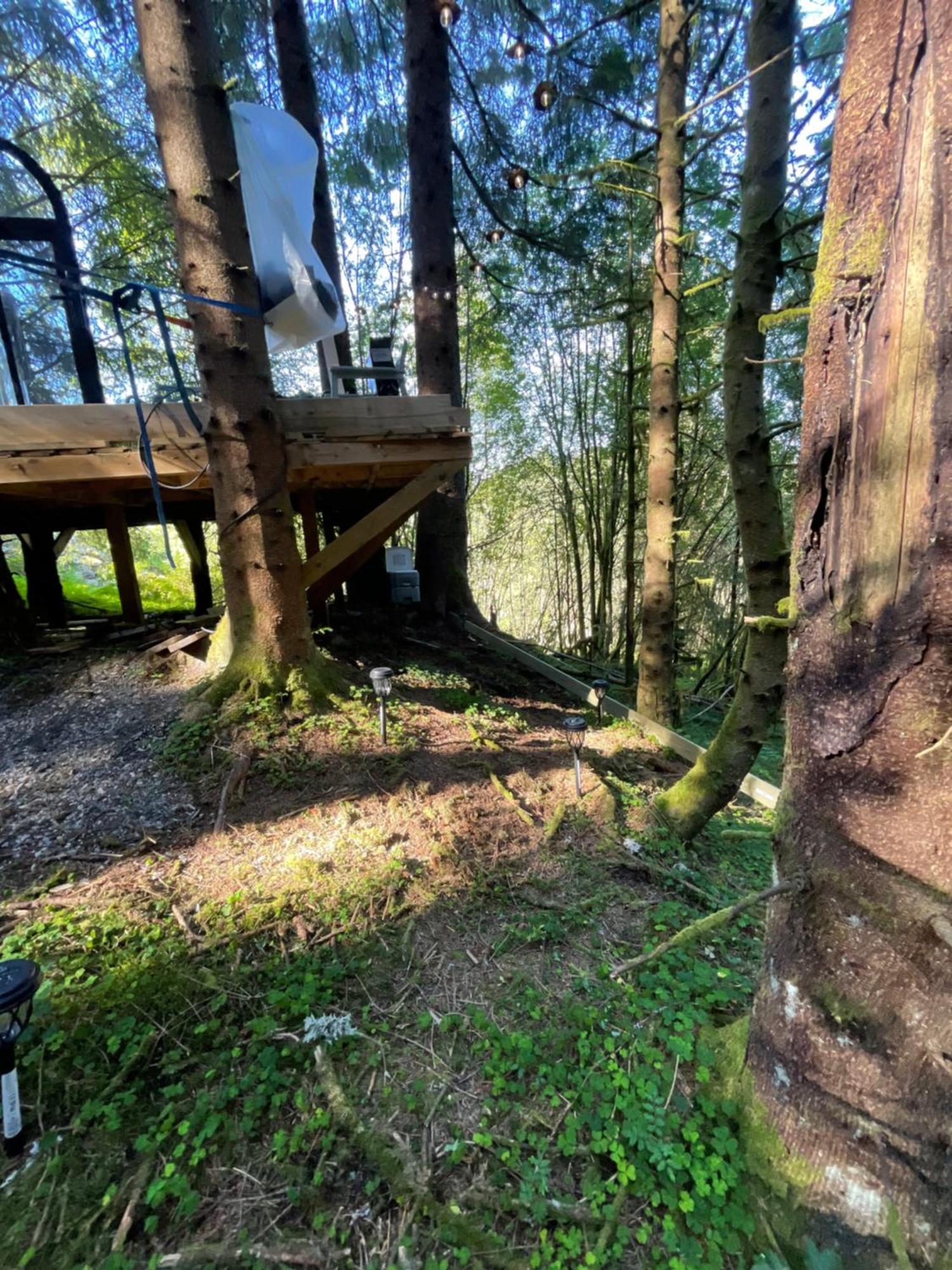 Magical Forest Haven Dome *
