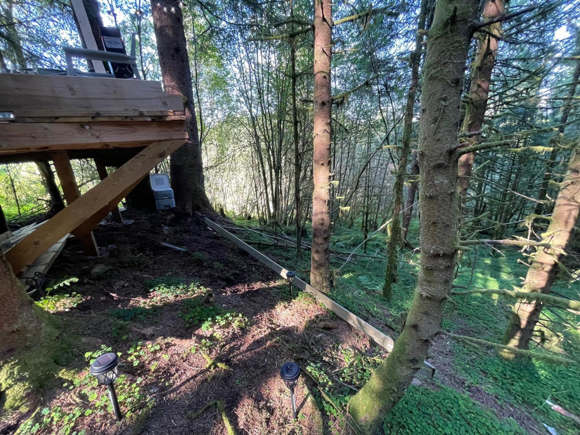 Apartment Magical Forest Haven Dome *