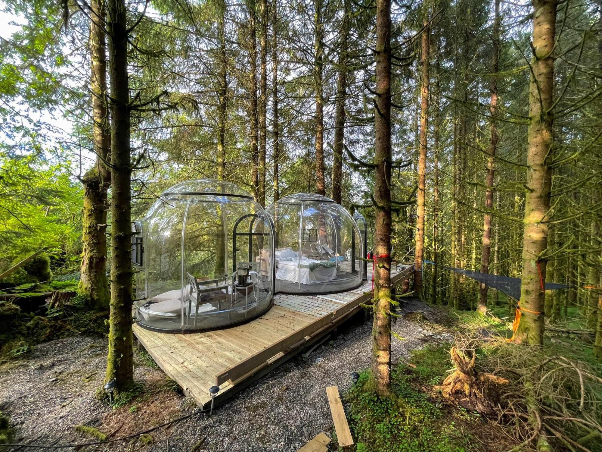 Apartment Magical Forest Haven Dome *