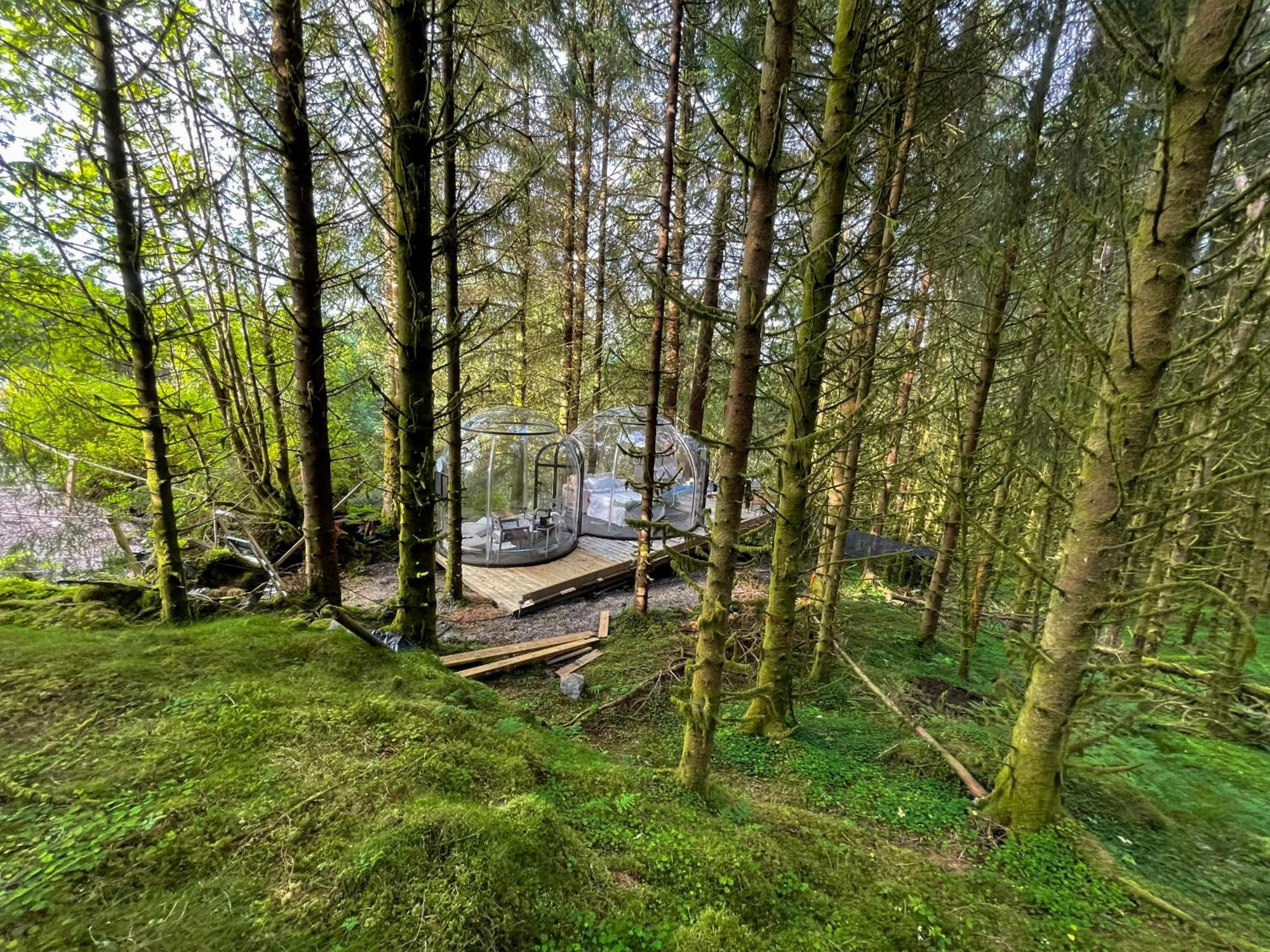 Magical Forest Haven Dome Apartment Bergen