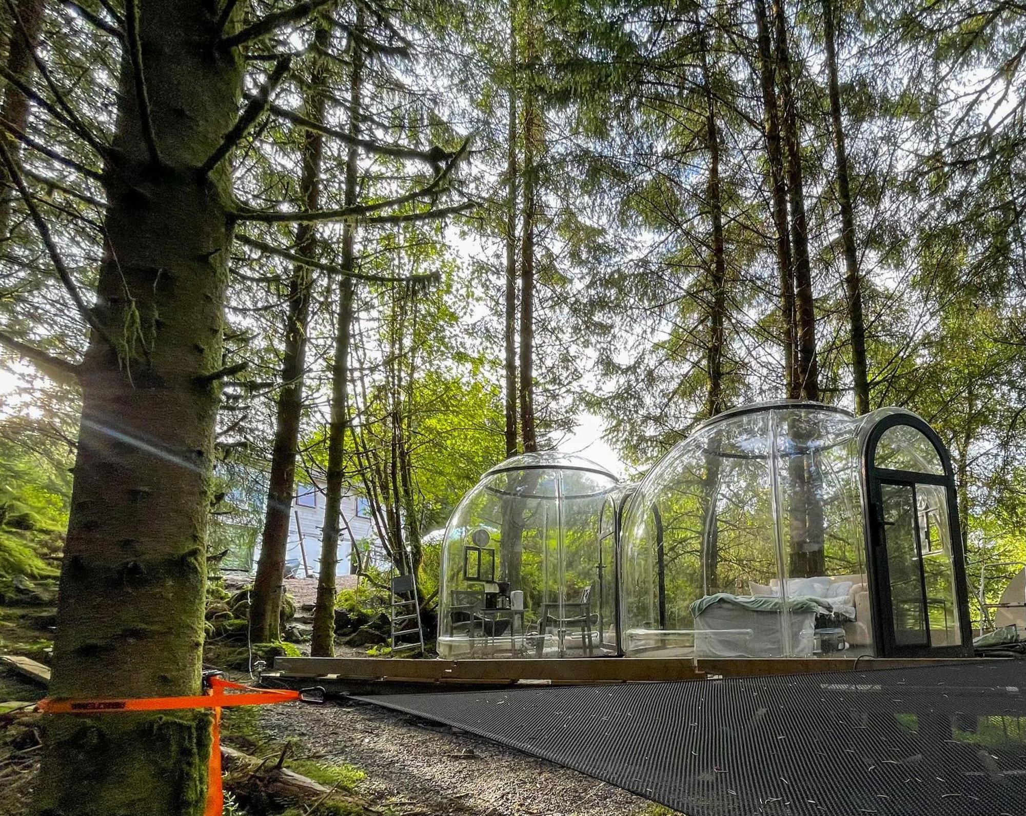 Magical Forest Haven Dome Apartment