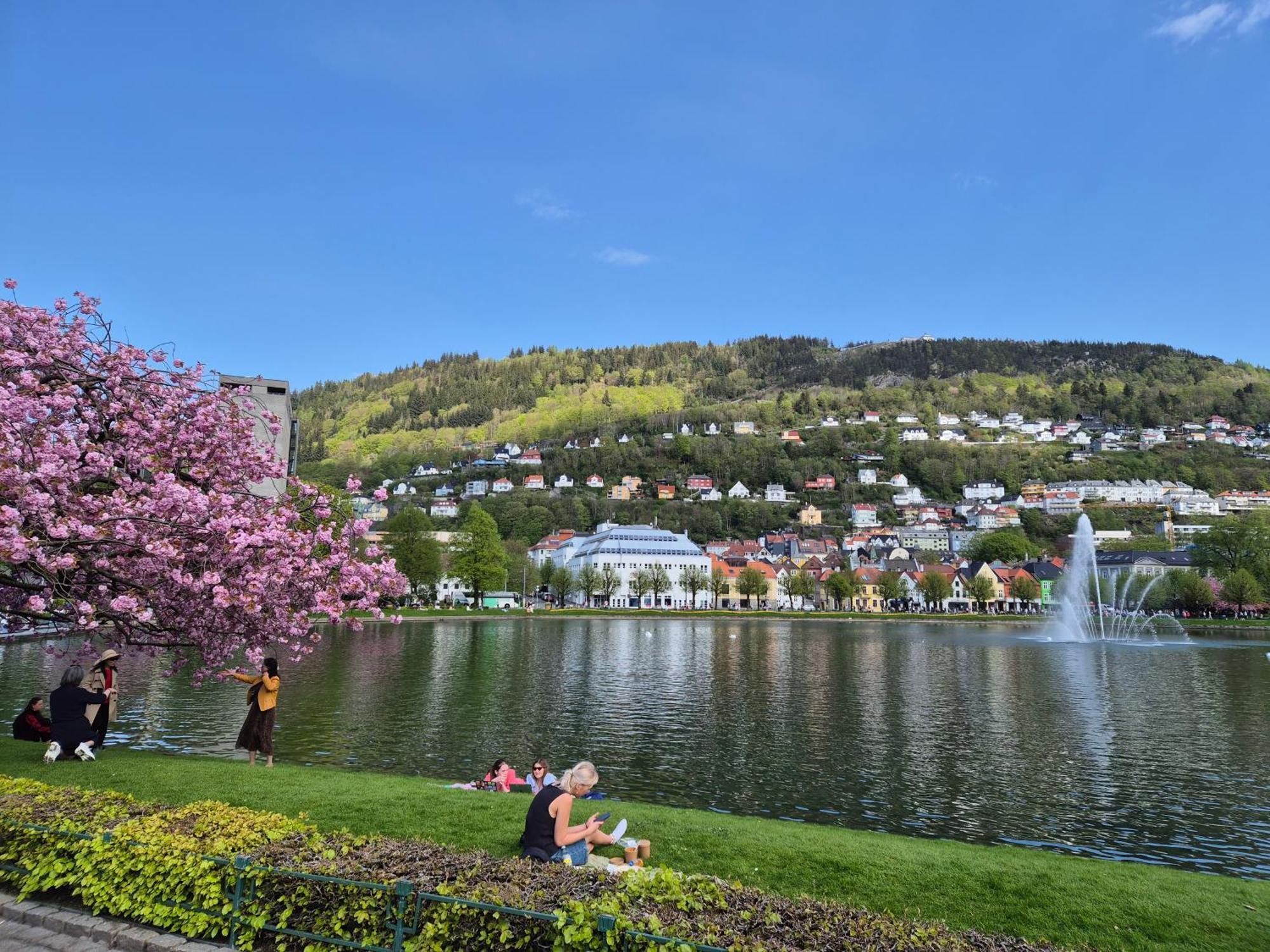 Nydelig Hus Med Privat Hage Og Fantastisk Utsikt Over Fisketorget, Bryggen Og Sentrum Apartment Bergen