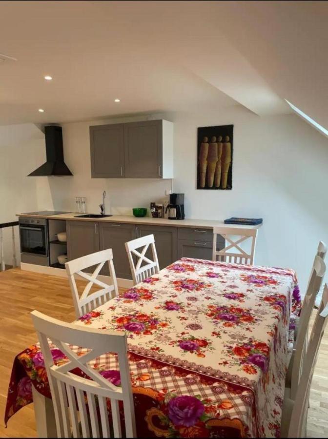 Appartement The Green House - Spacious Loft In Center Of *