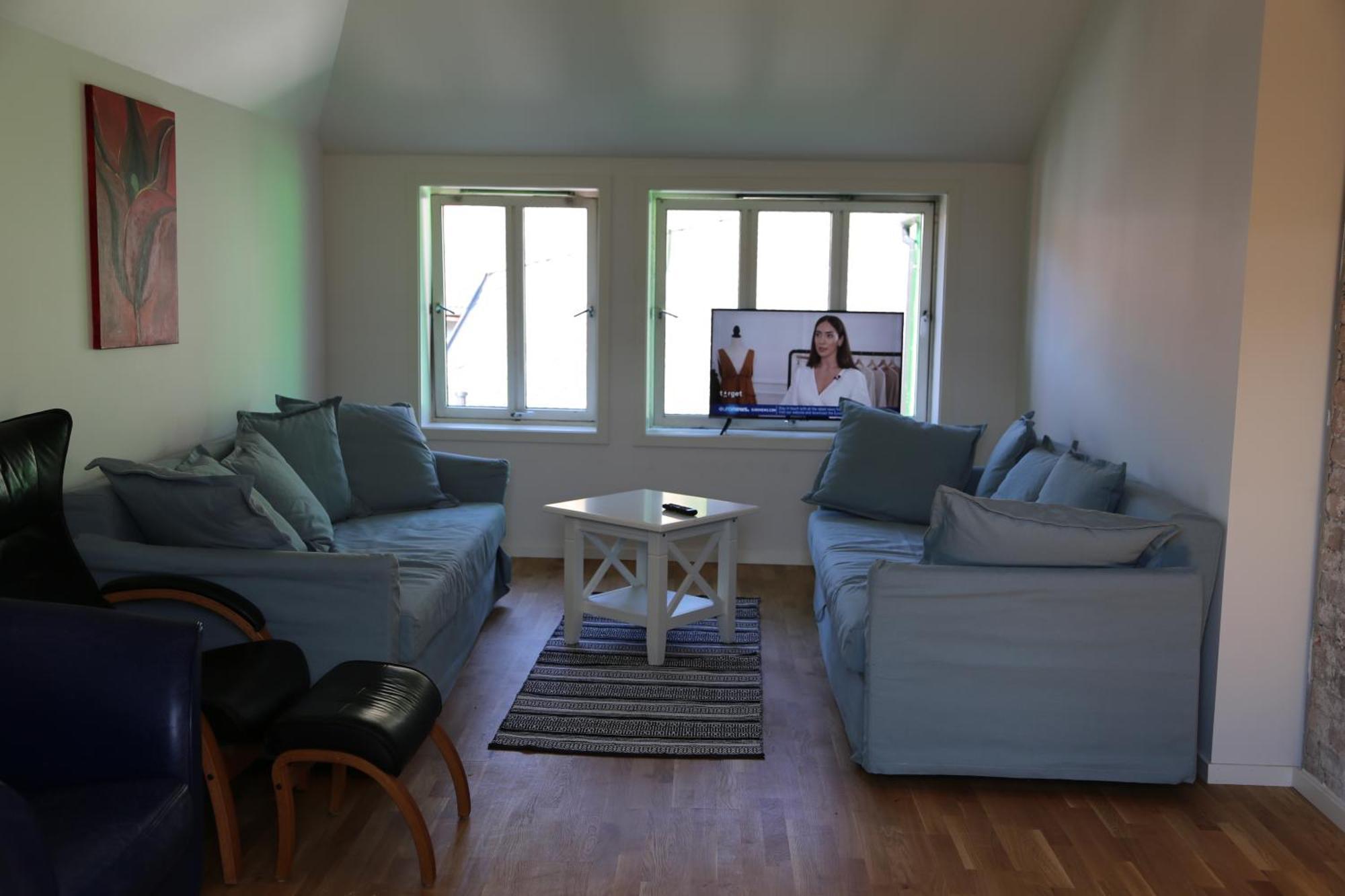 The Green House - Spacious Loft In Center Of Appartement