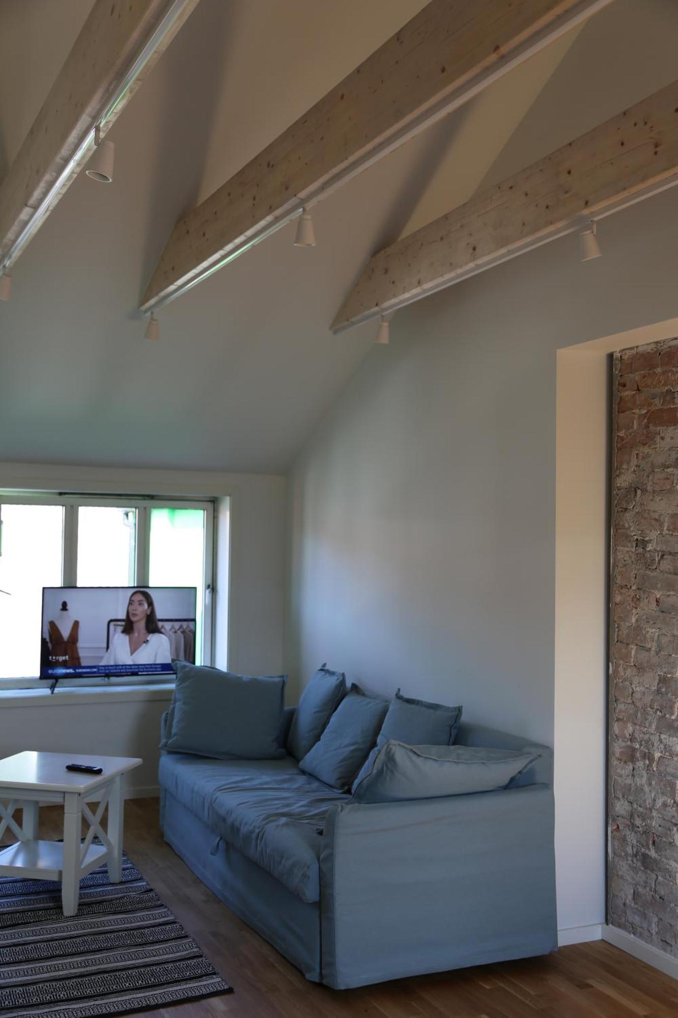 The Green House - Spacious Loft In Center Of Apartment