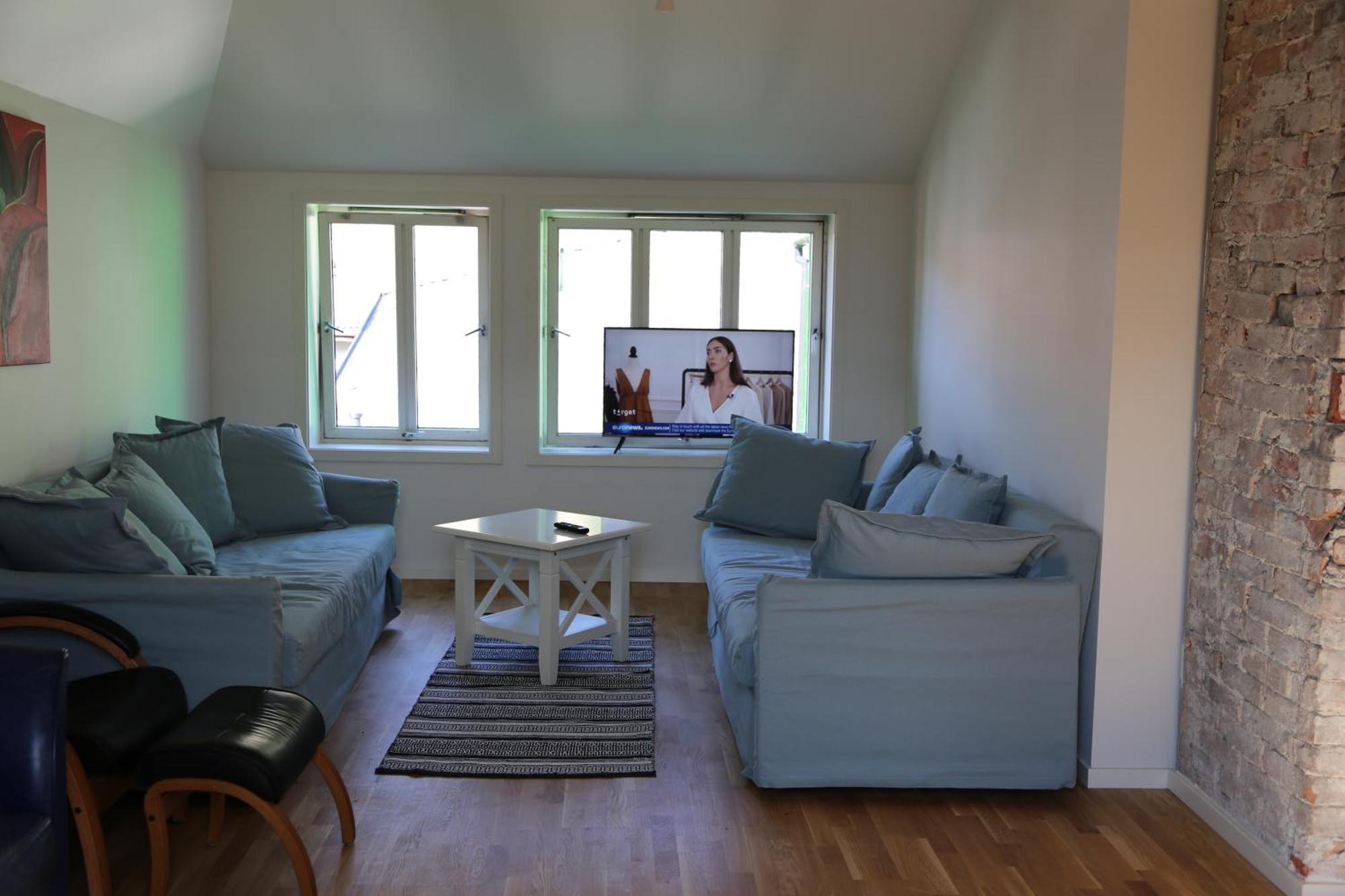 The Green House - Spacious Loft In Center Of Apartment *