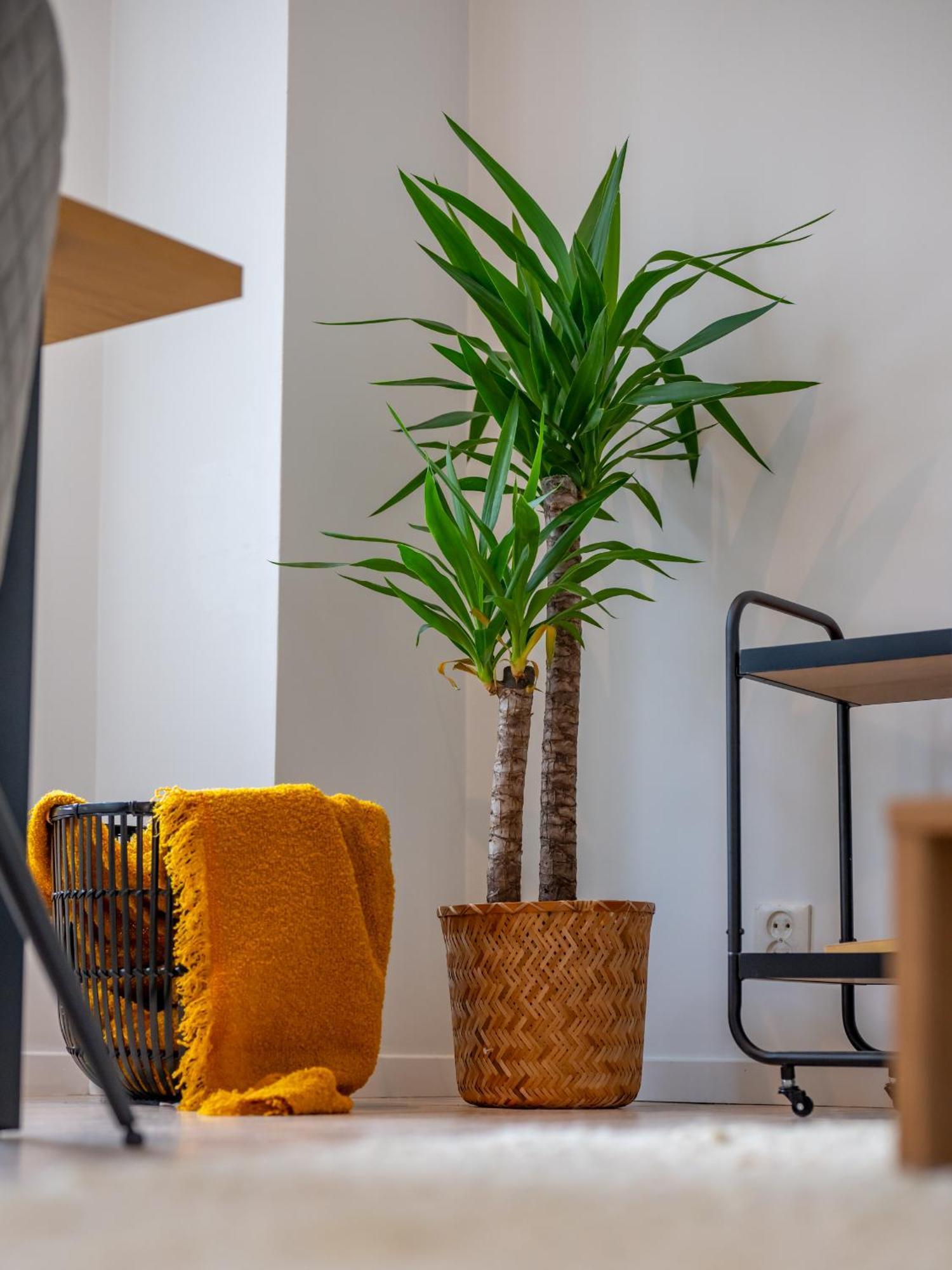 Appartement Modern Downtown With Great Views