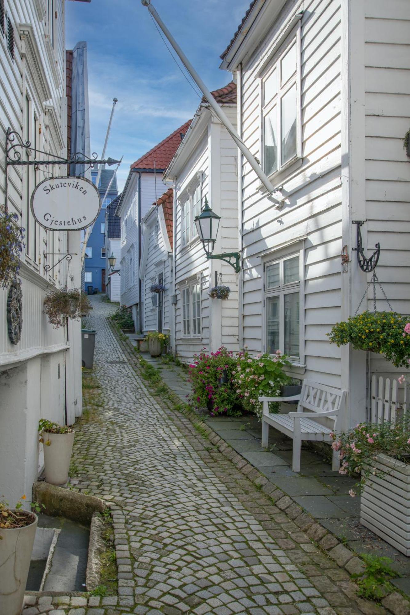 Historic Skuteviken *