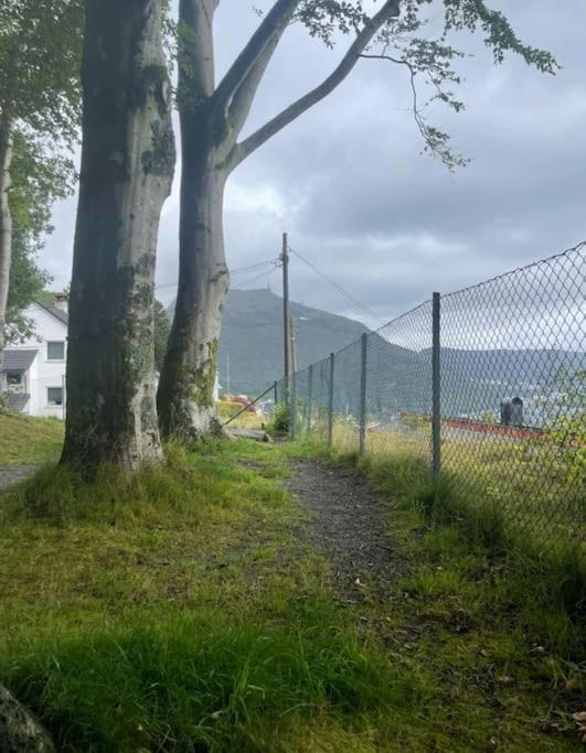 Near The Floibanen, Cable Car