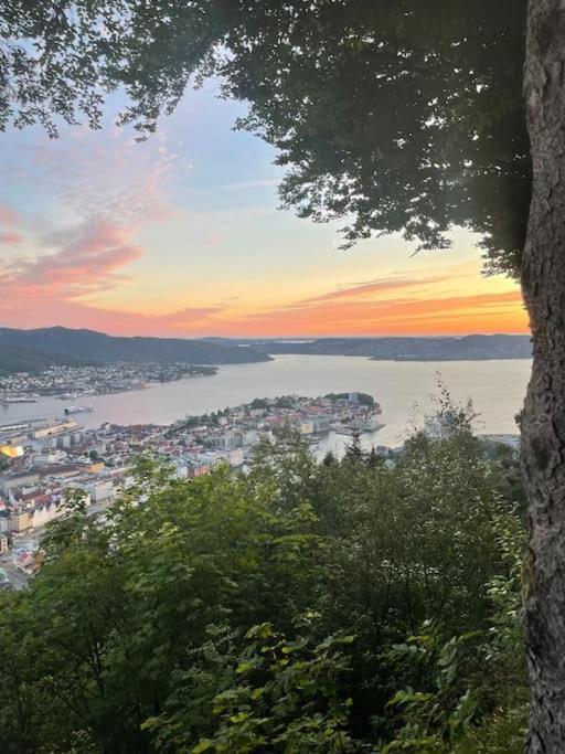Near The Floibanen, Cable Car Apartment Bergen