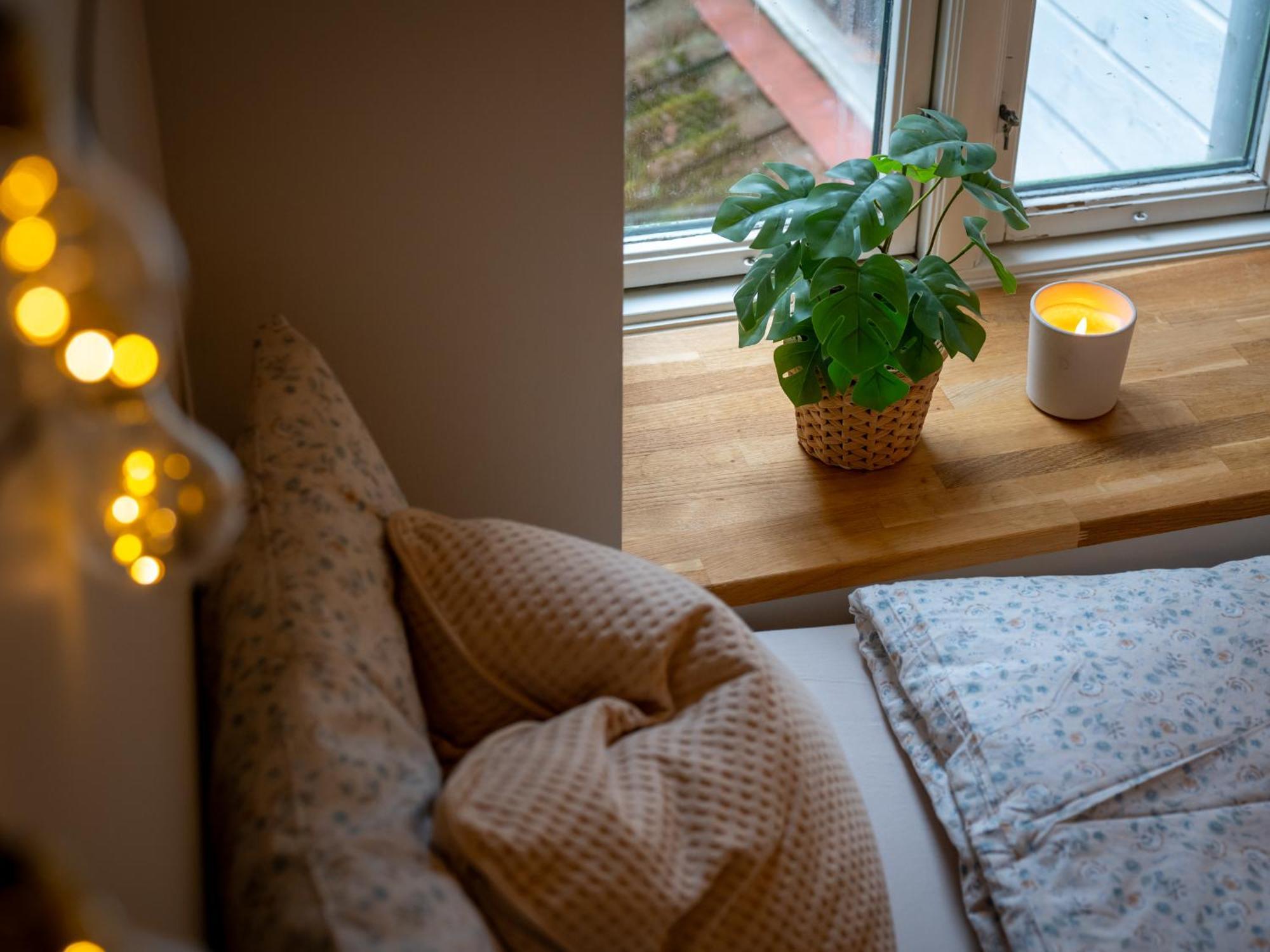Charming 200m From Bryggen Apartment Bergen