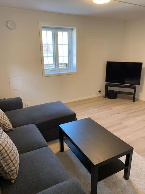 Moderne Og Fullt Utstyrt 3-rom Hageleilighet Sentrum Naer Apartment