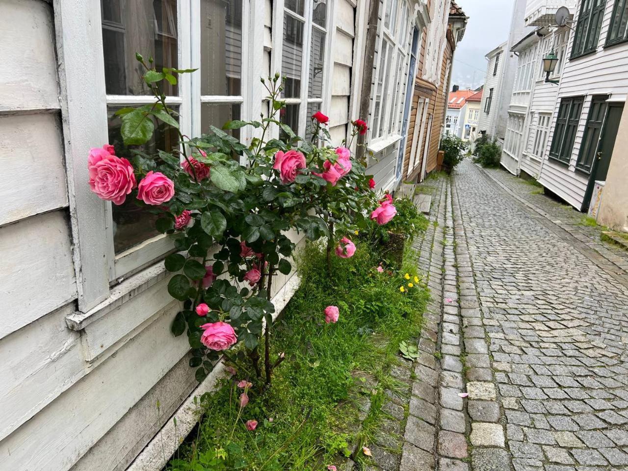 Rum i privatbostad Cosy Bedroom By The Centre *