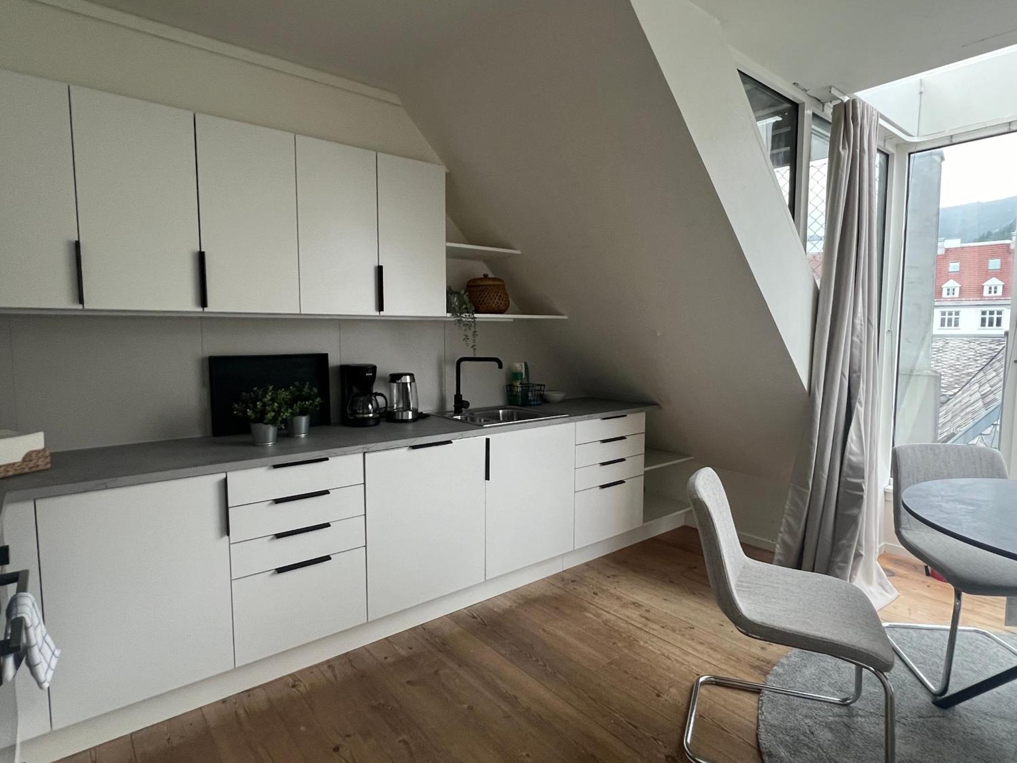 Vaskerelven 4 Apartment Bergen