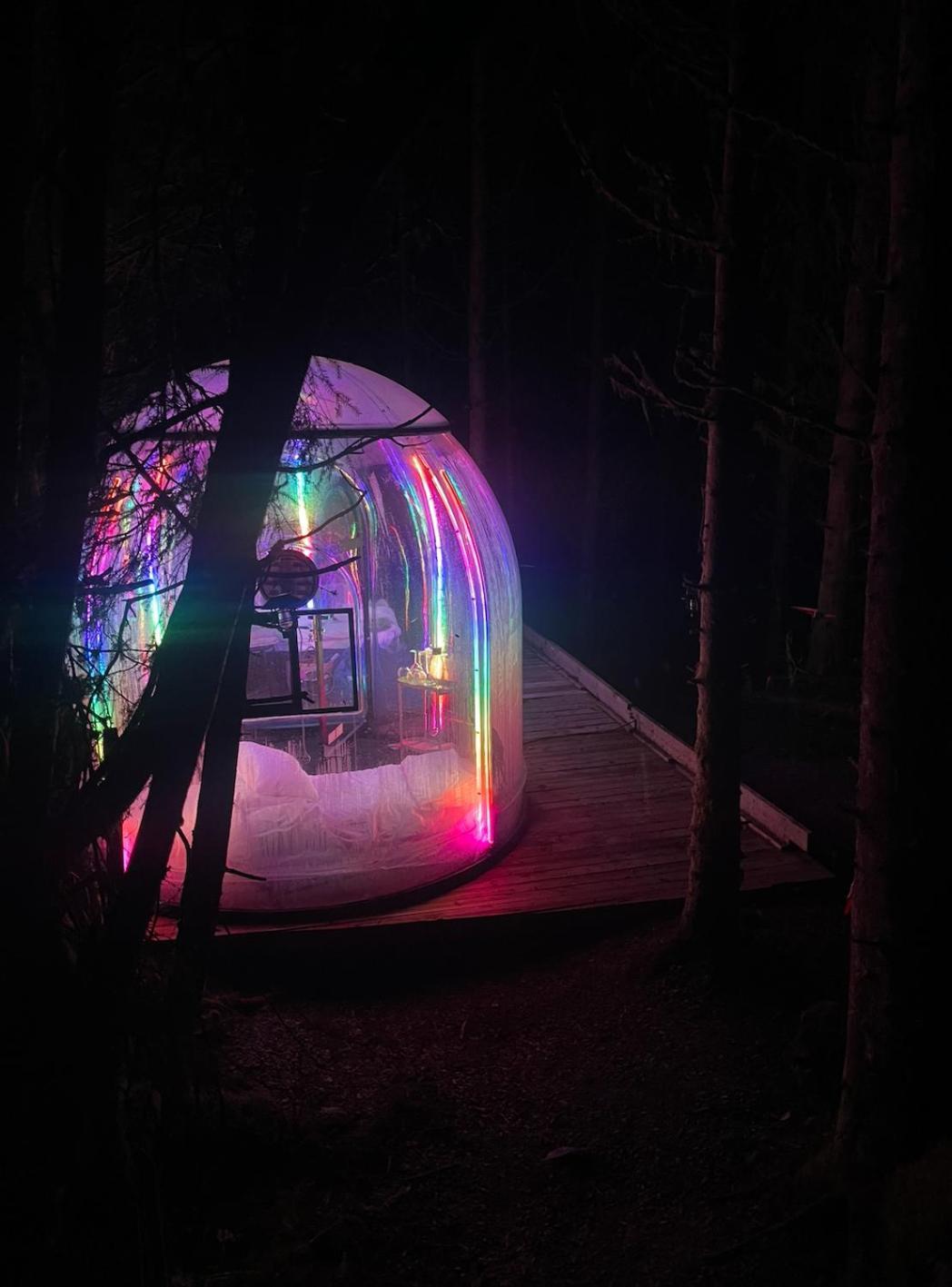 Magical Forest Haven Dome