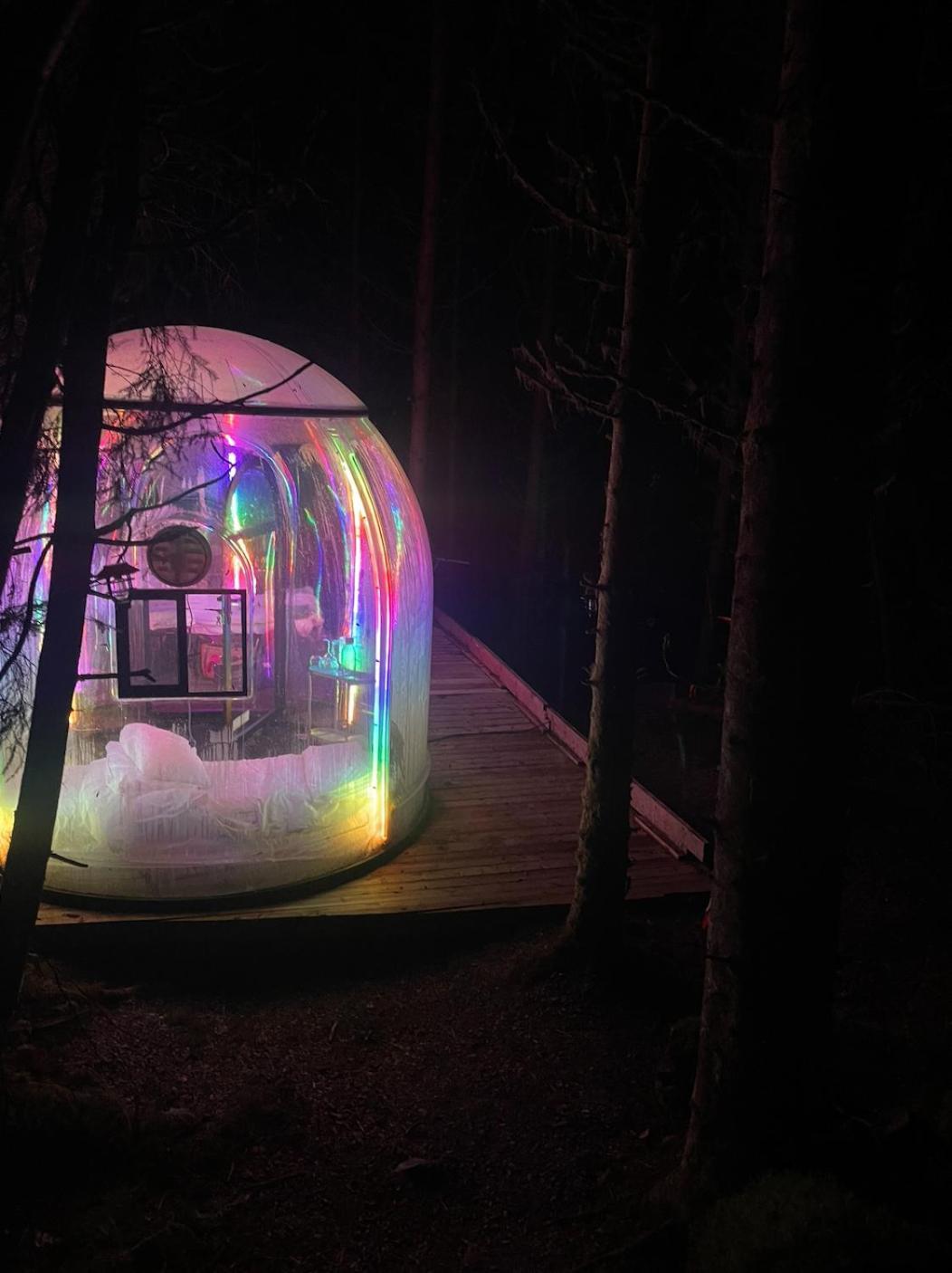 Apartment Magical Forest Haven Dome