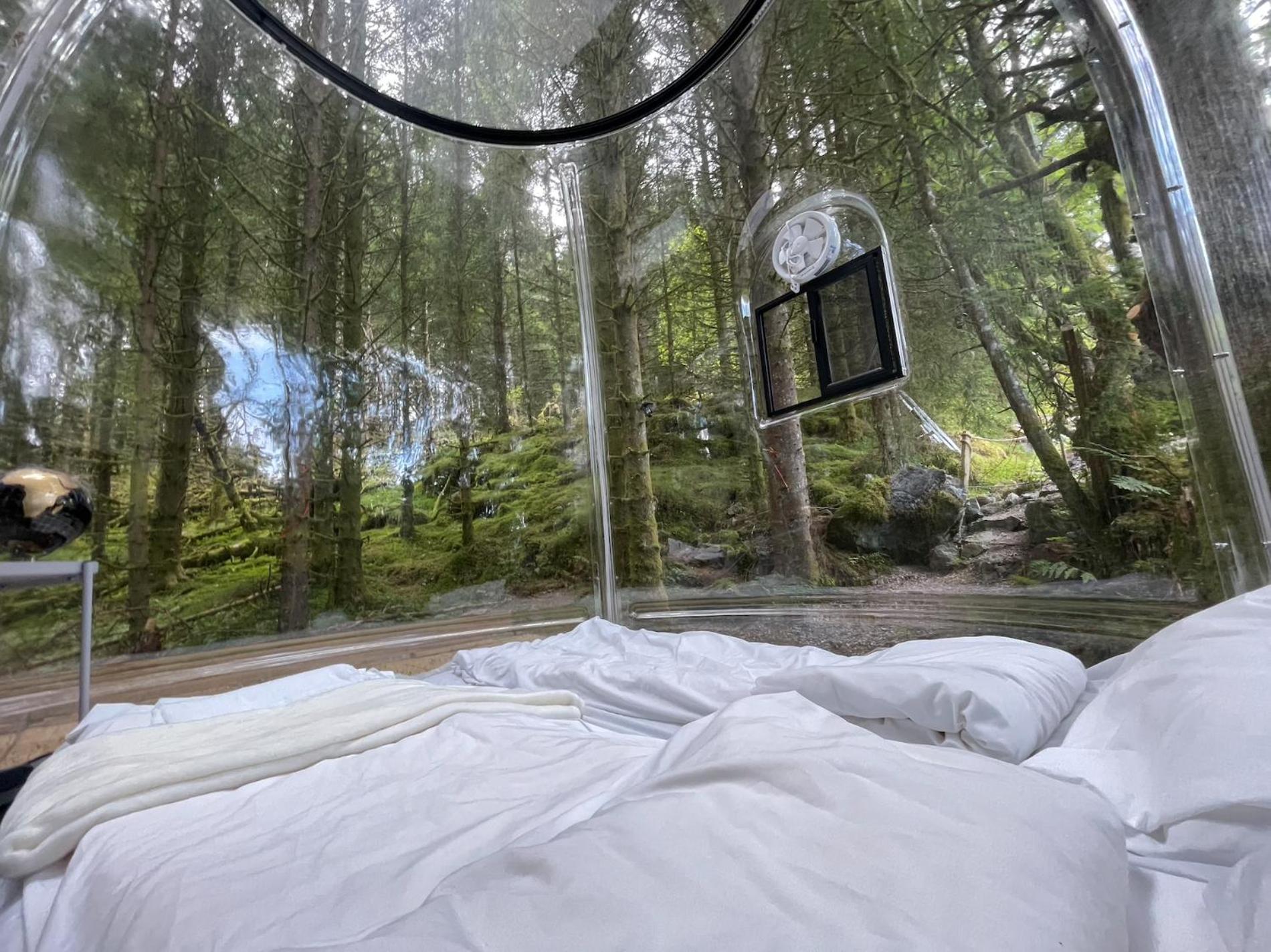 Apartment Magical Forest Haven Dome