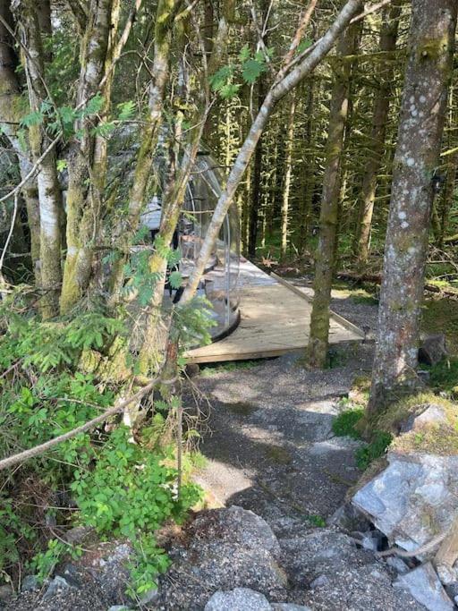 Magical Forest Haven Dome Leilighet Bergen