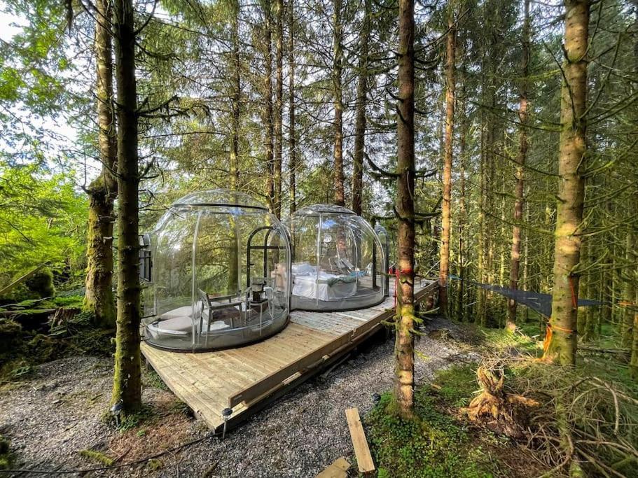 Apartment Magical Forest Haven Dome Bergen