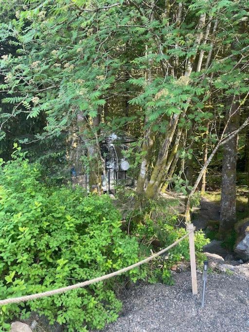 Magical Forest Haven Dome