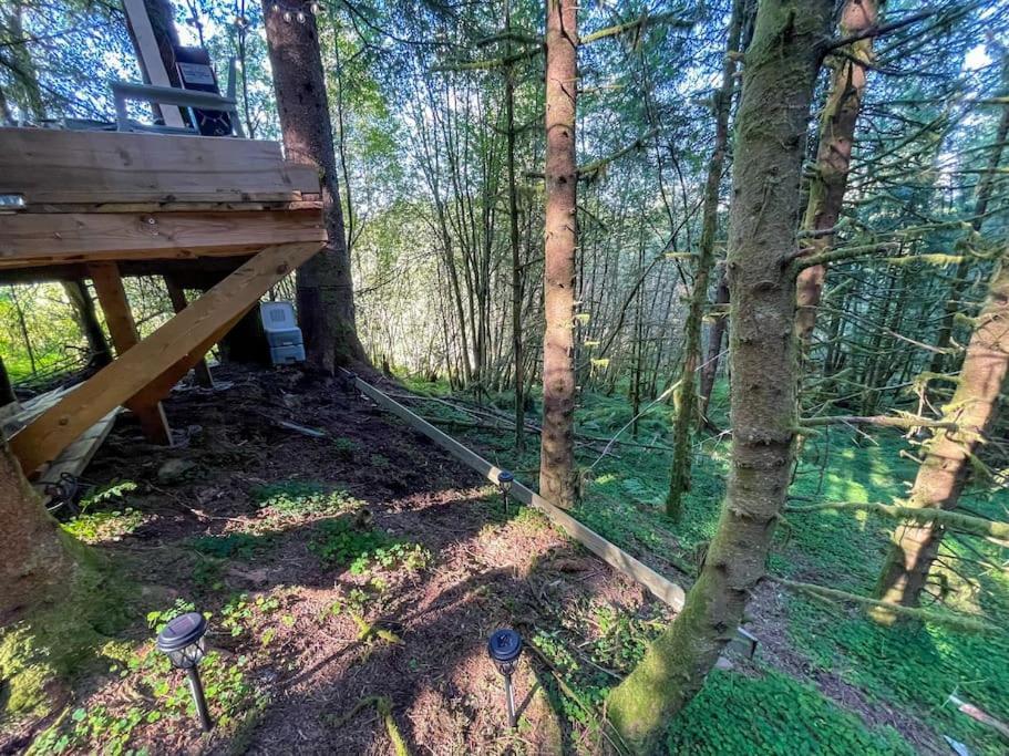 Apartment Magical Forest Haven Dome *