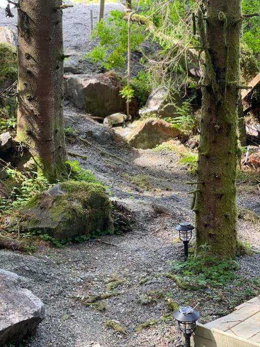 Magical Forest Haven Dome Leilighet *