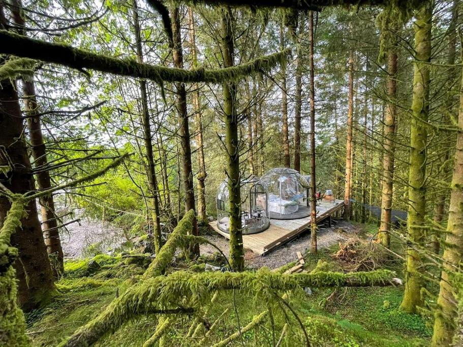 Magical Forest Haven Dome * Bergen