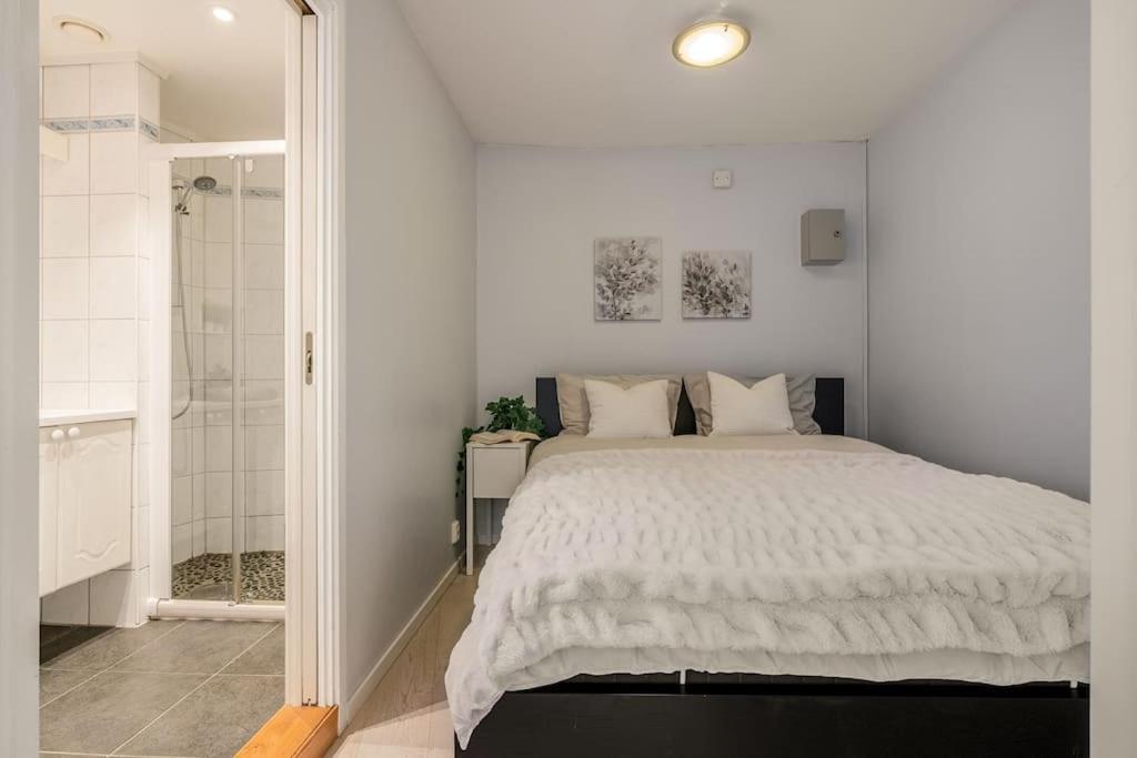 Apartment Flat In House With Outstanding Roof Terrace