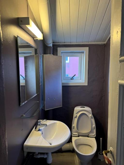 Apartment Pen Toppleilighet Midt I Sentrum Bergen