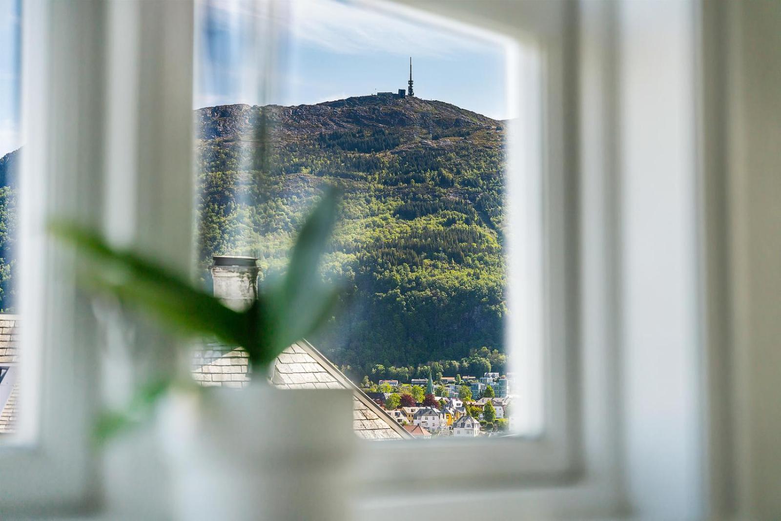 Panoramic & Garden *