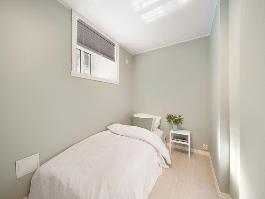 Stor I Sentrum! Apartment