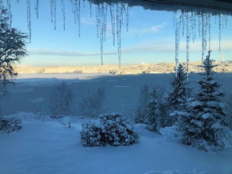 Panoramic Fjord View Near