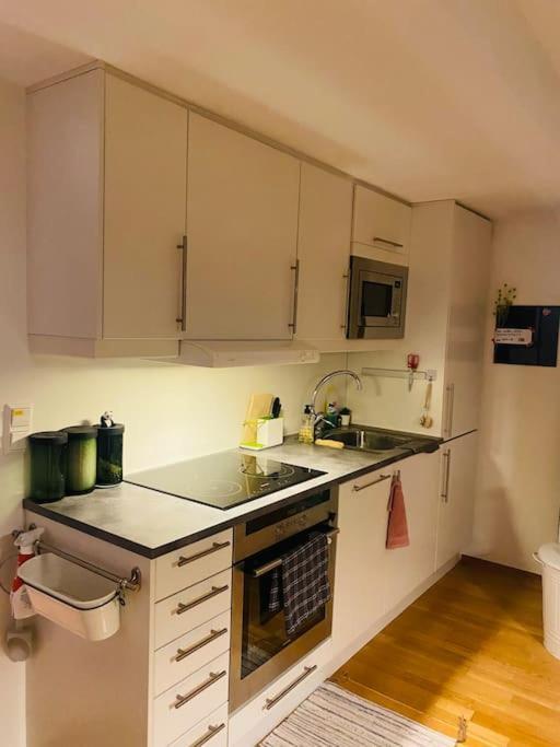 Private Cozy Close To Center Apartment Bergen