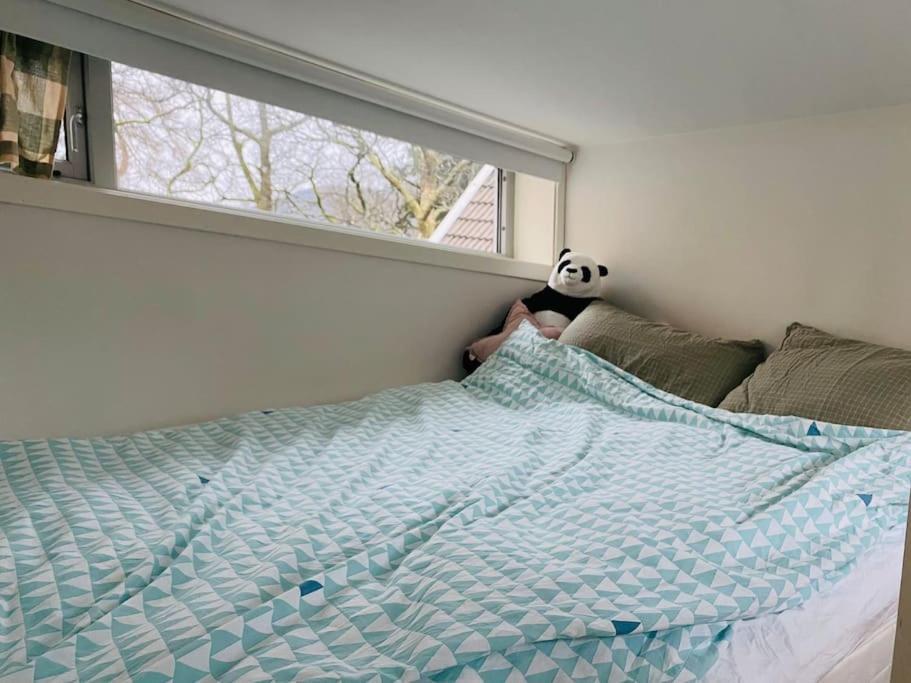Private Cozy Close To Center Apartment Bergen