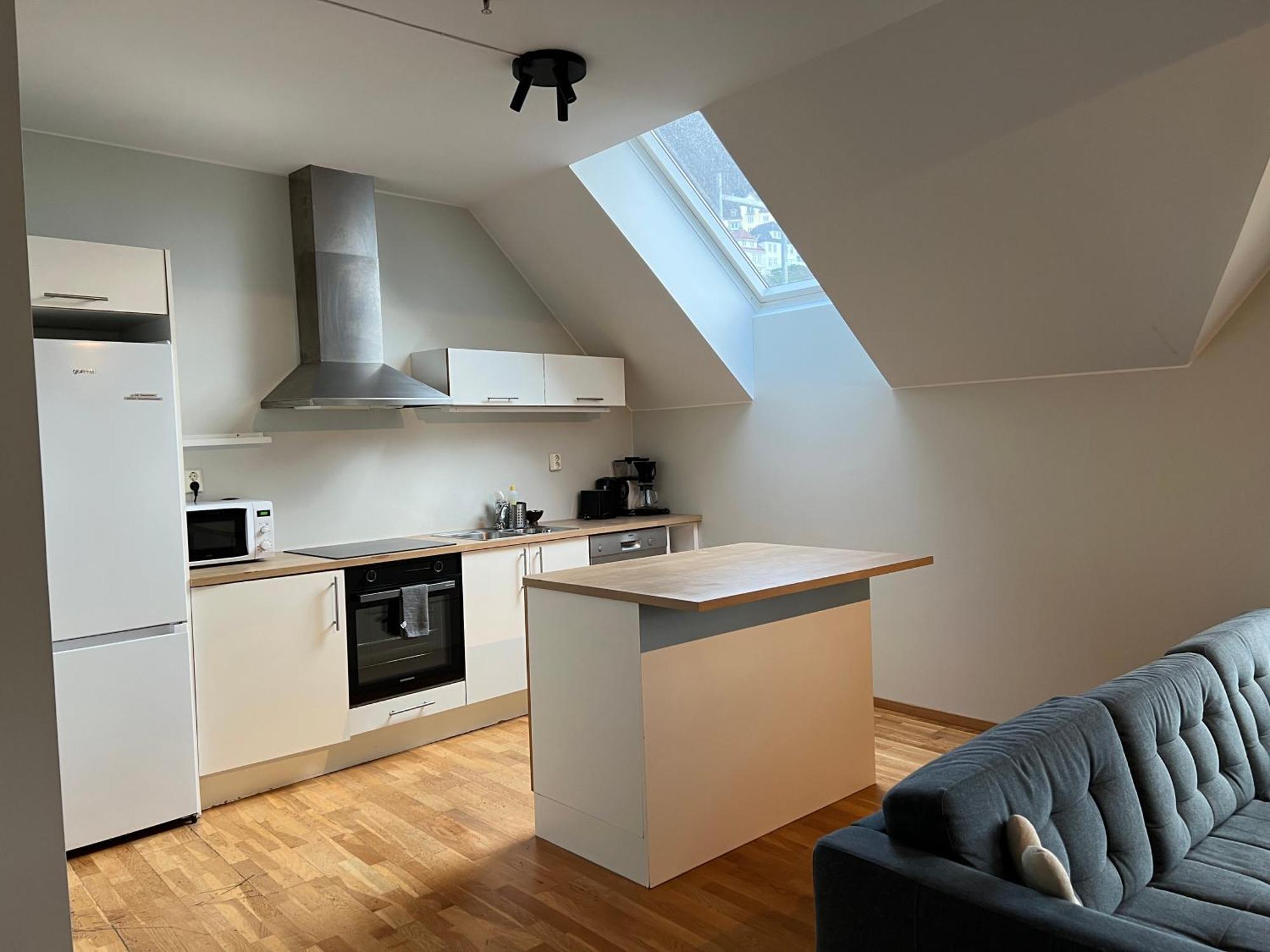 Vetrlidsallmenningen 4 Apartment