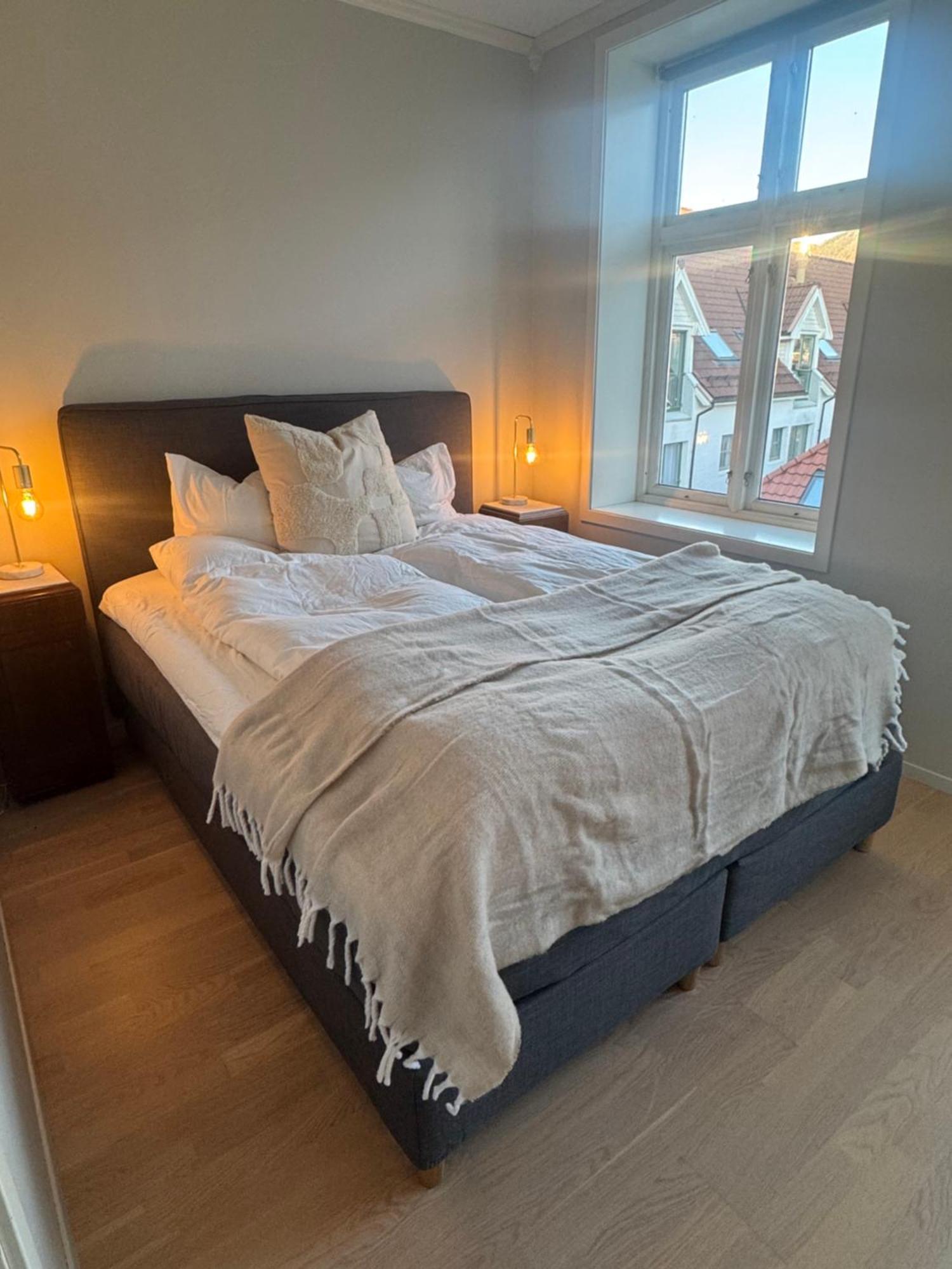 Sentrumsnaer Trivelig * Bergen