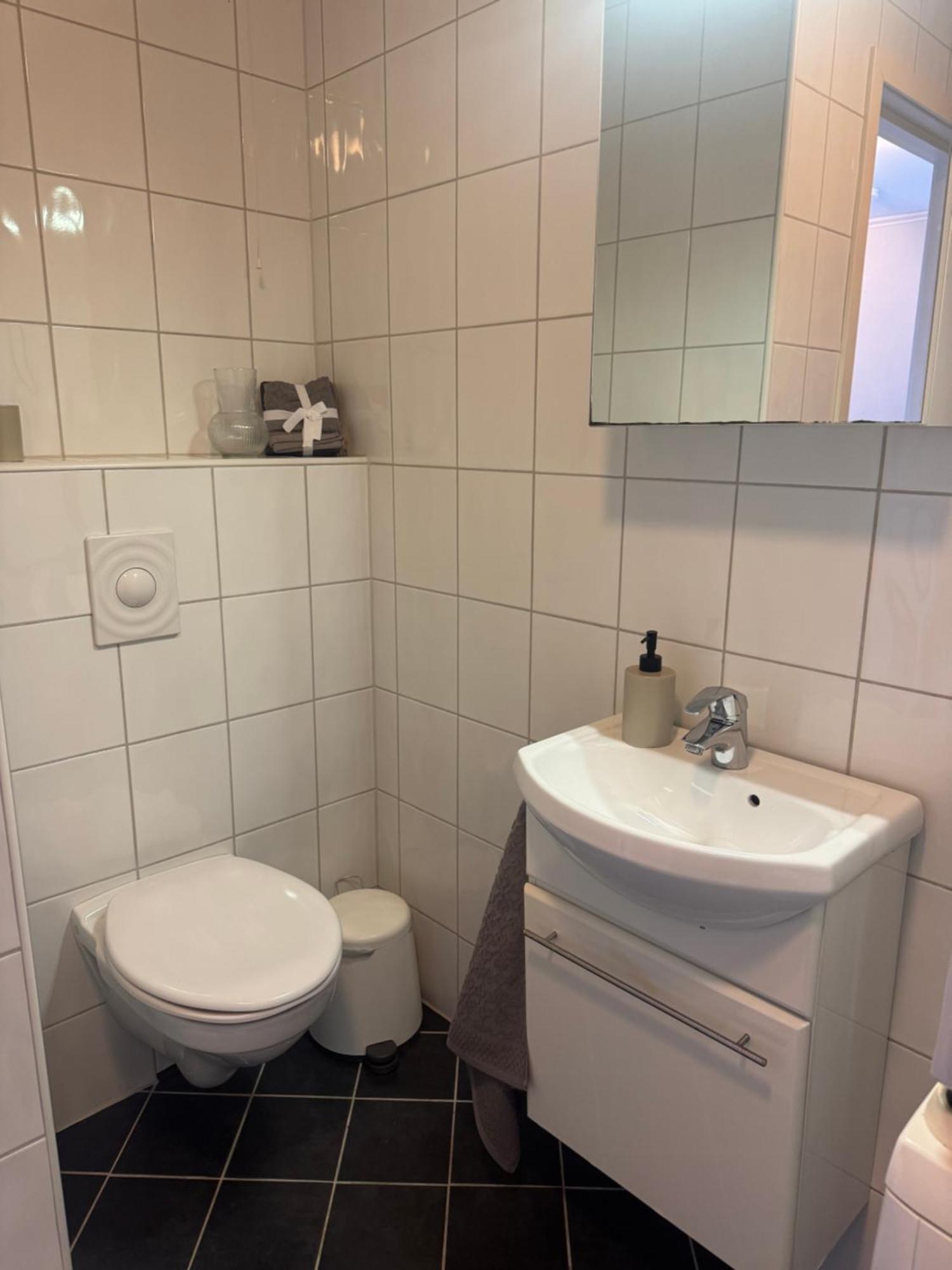 Sentrumsnaer Trivelig Apartment