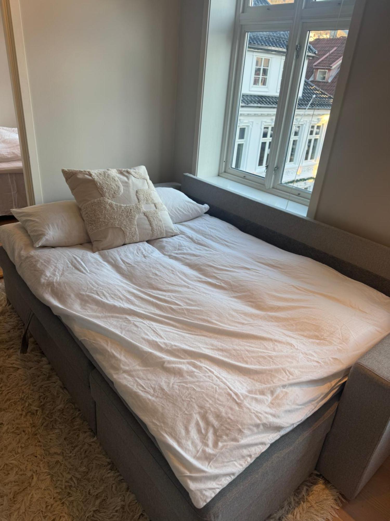 Apartment Sentrumsnaer Trivelig *