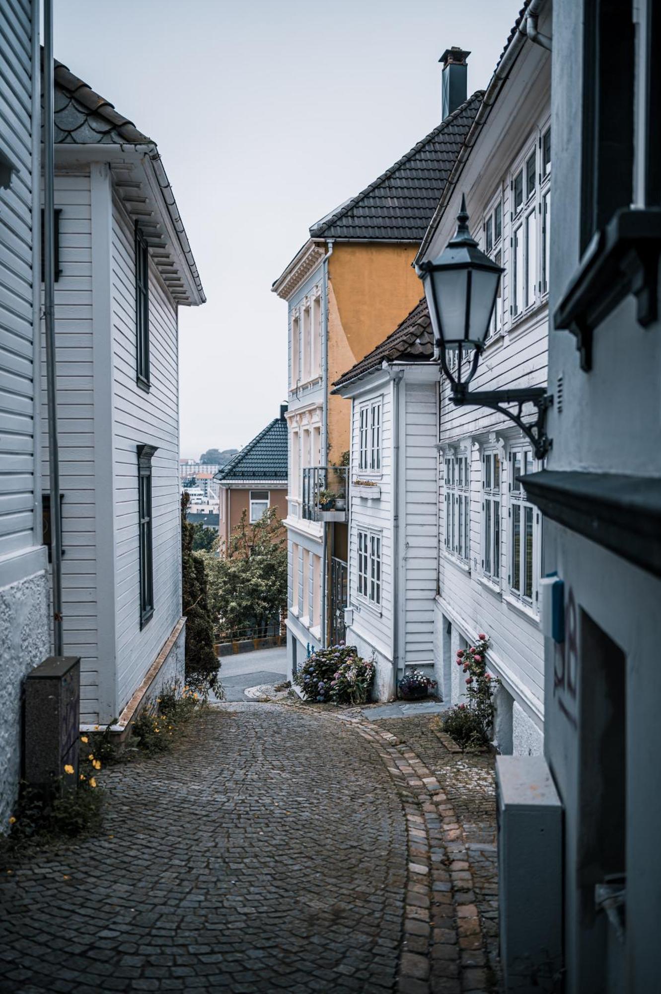 Vander Altona Bergen