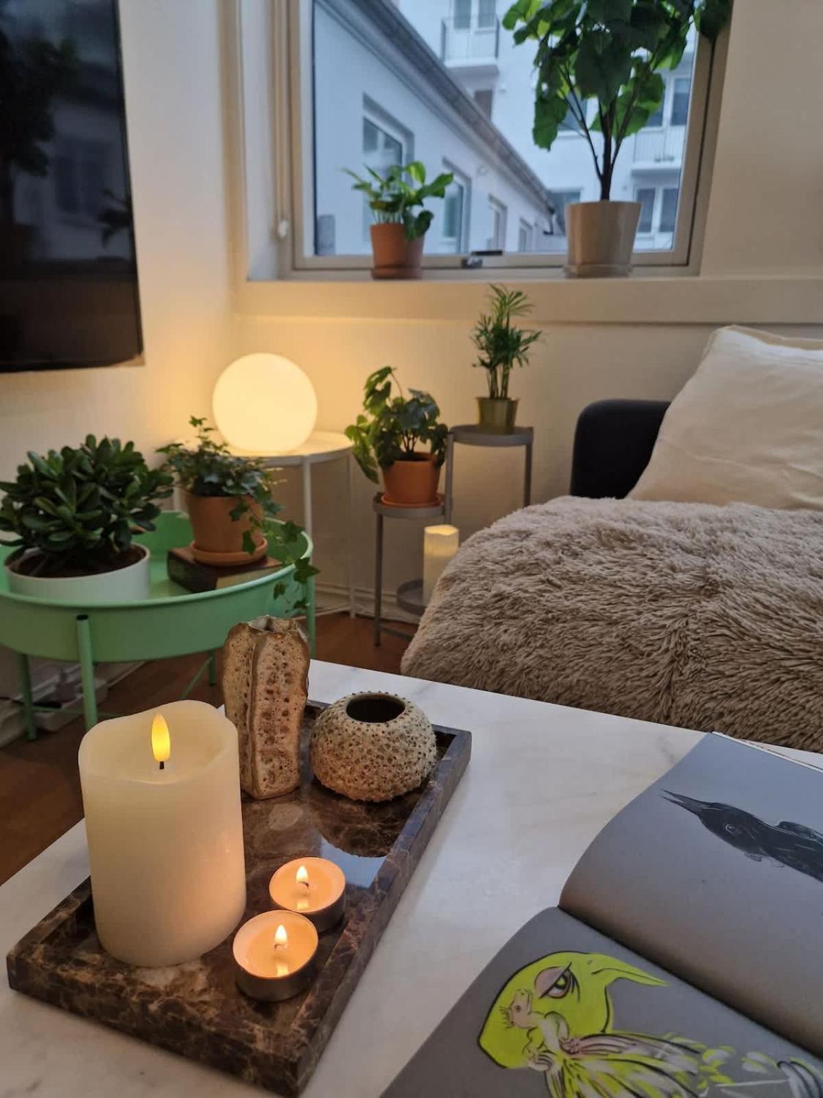Cozy Near Bryggen Full Kitchen Elevator Holiday home *