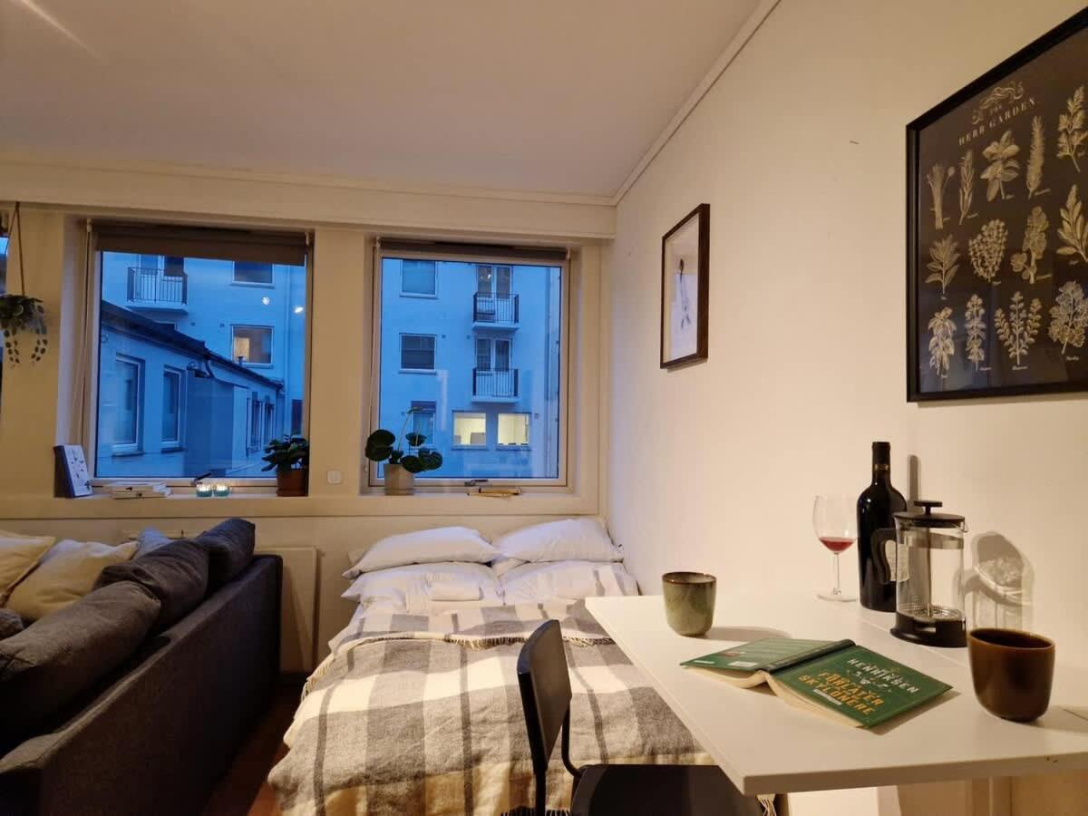 Cozy Near Bryggen Full Kitchen Elevator Holiday home