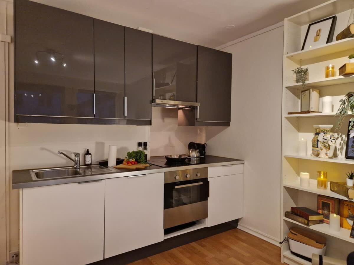 Cozy Near Bryggen Full Kitchen Elevator *