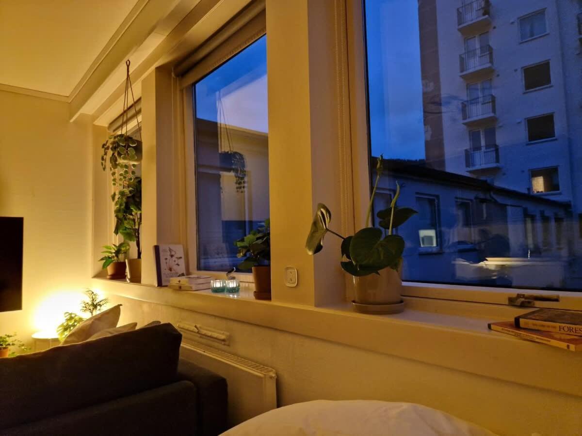 Cozy Near Bryggen Full Kitchen Elevator Holiday home *
