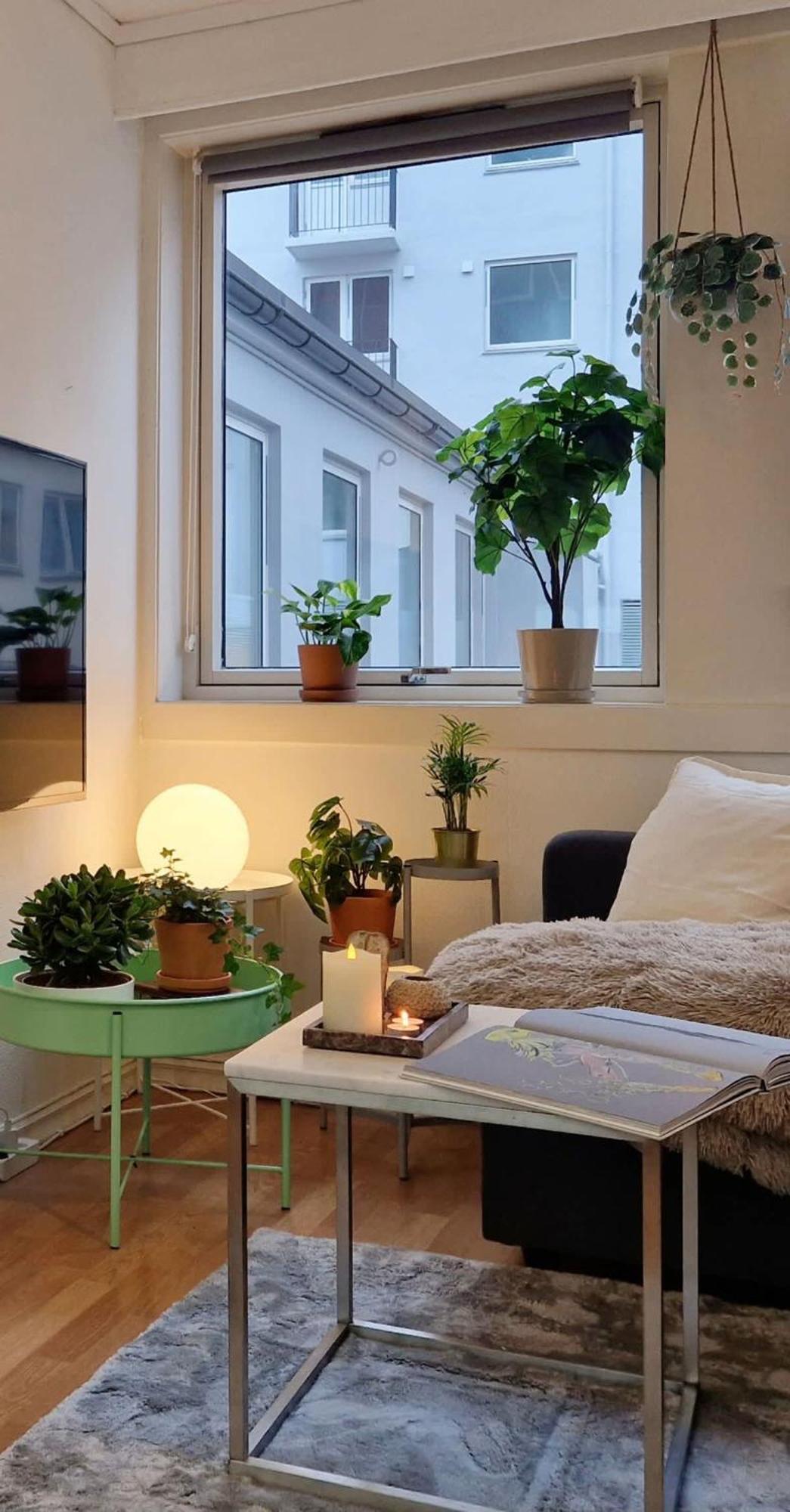 Cozy Near Bryggen Full Kitchen Elevator *